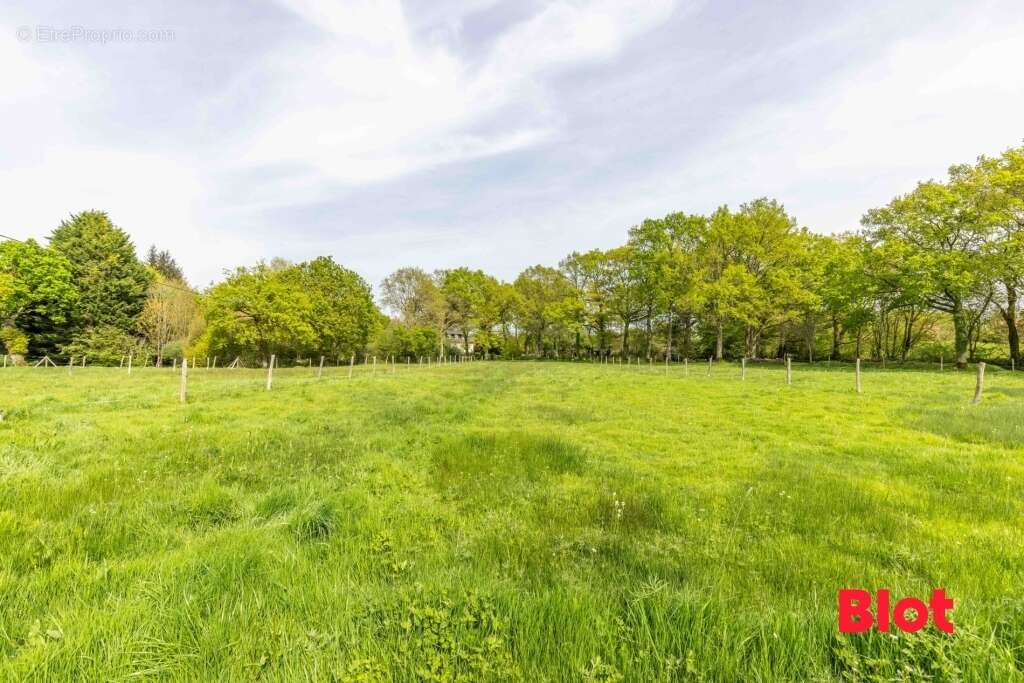 Maison 179 m² à Thorigne-Fouillard  - photo 2