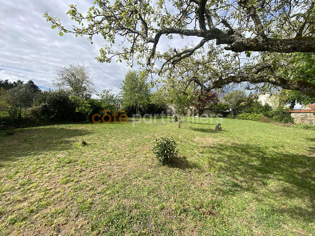 Maison à SAINT-MICHEL-EN-L'HERM