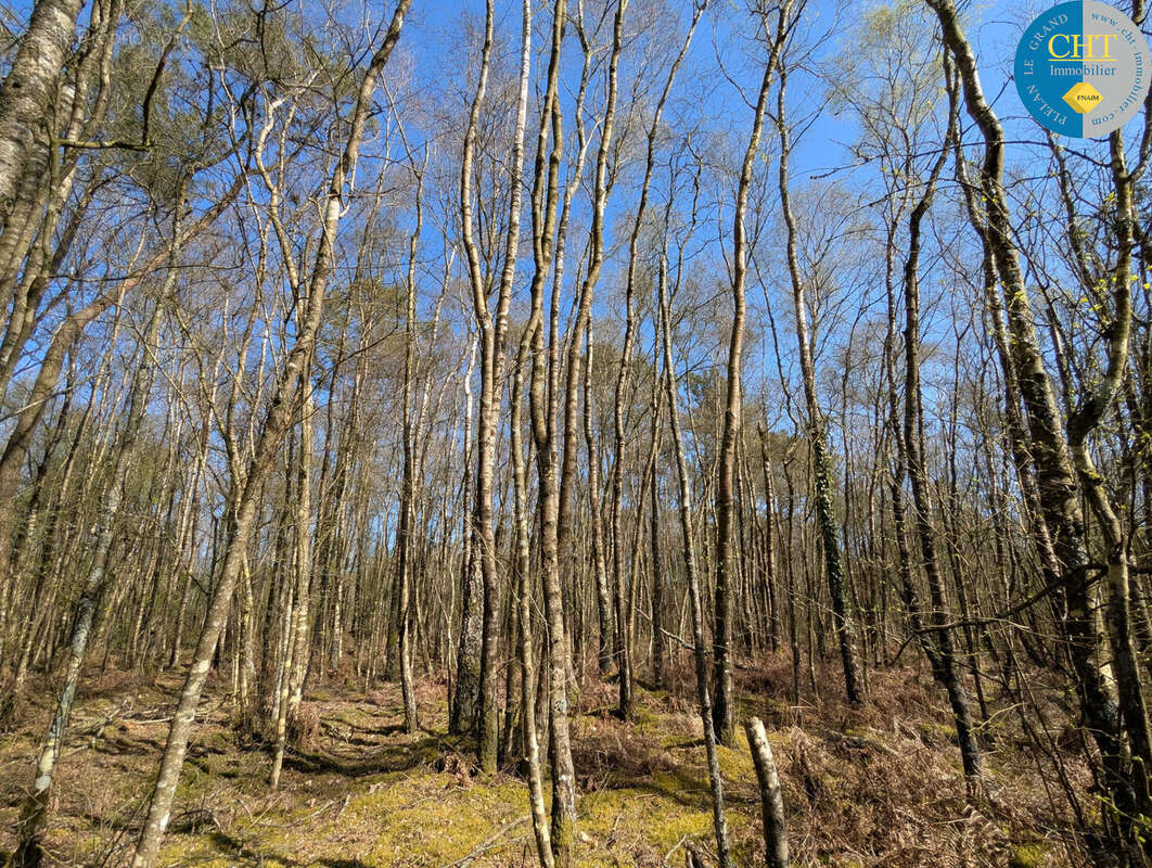 Terrain à CAMPENEAC
