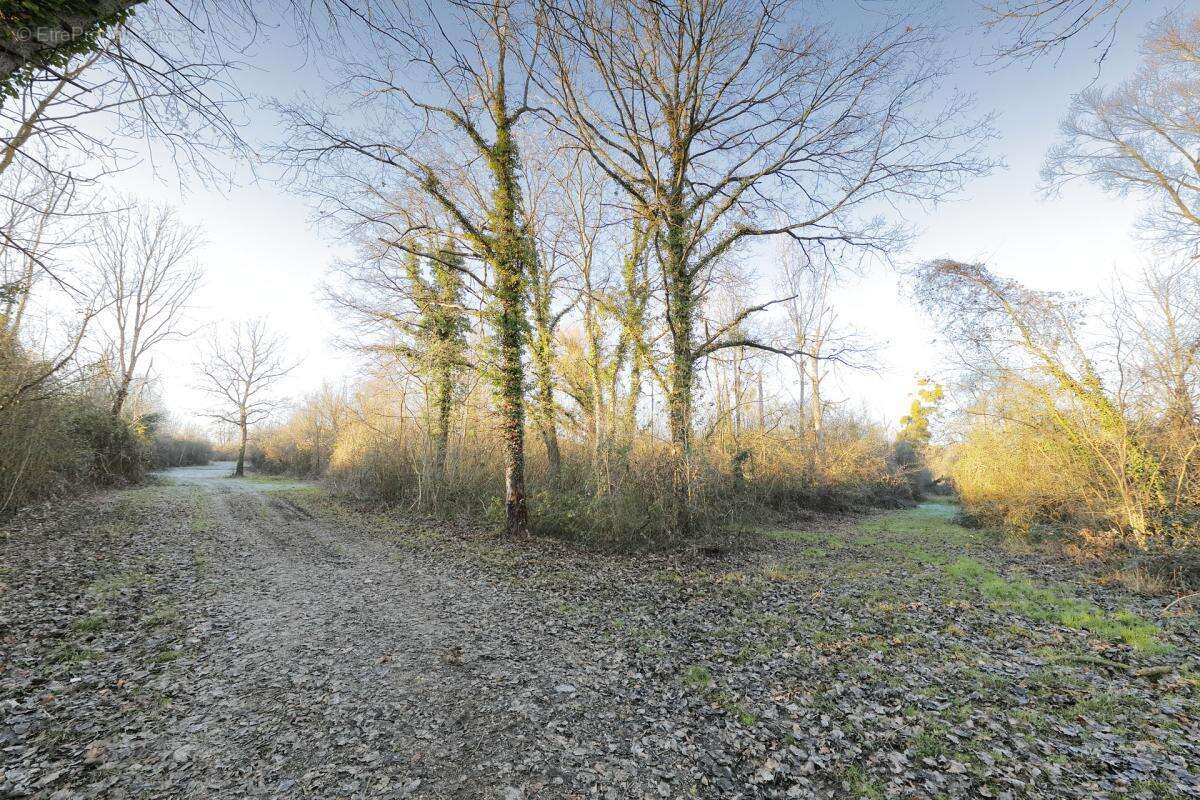 Terrain à PRESLES-EN-BRIE