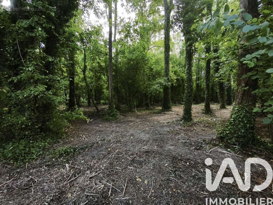 Terrain 2320 m² à Boult-Sur-Suippe  - photo 3