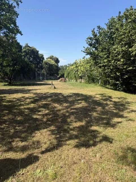 Villa familiale de 203 m² avec 2 logements sur 890 m² de terrain BORGO - photo 13