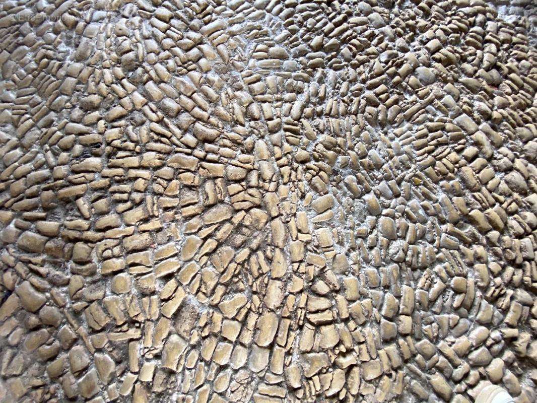 Maison à VILLEBOIS-LAVALETTE