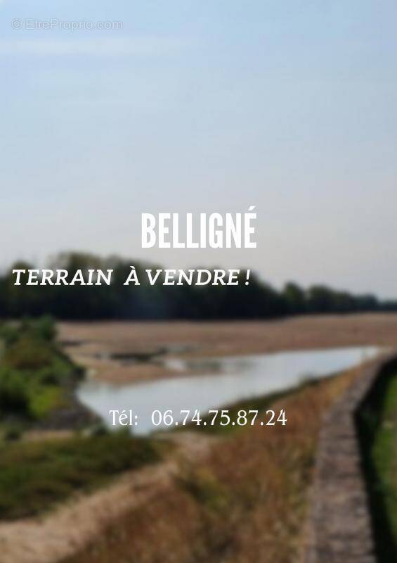 Terrain à BELLIGNE