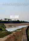 Terrain à BELLIGNE