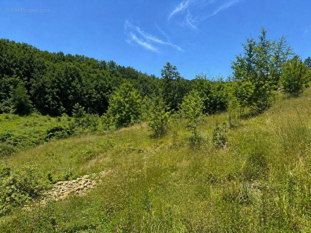 Terrain à TRELISSAC