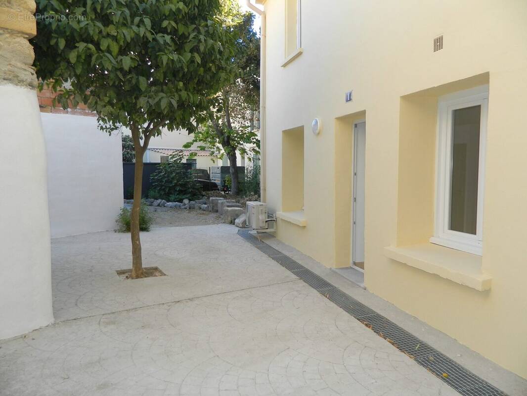 Cour Maison 1 - Appartement à NARBONNE
