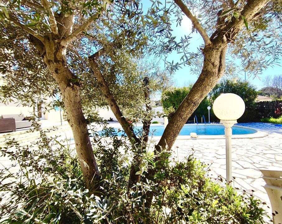 Maison à VILLENEUVE-LES-MAGUELONE