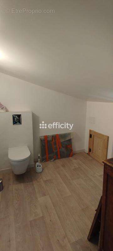 Maison 250 m² à Usson-En-Forez  - photo 24