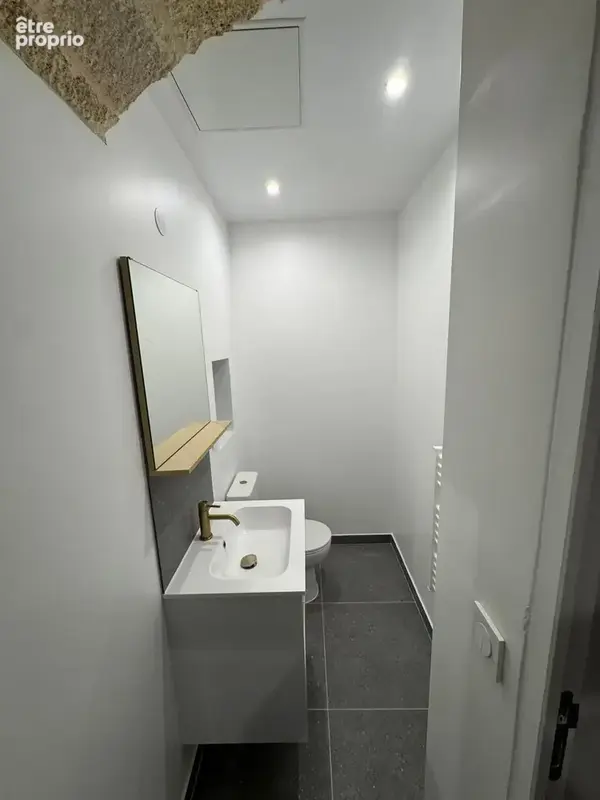 Appartement T1bis duplex Saint Michel - photo 13