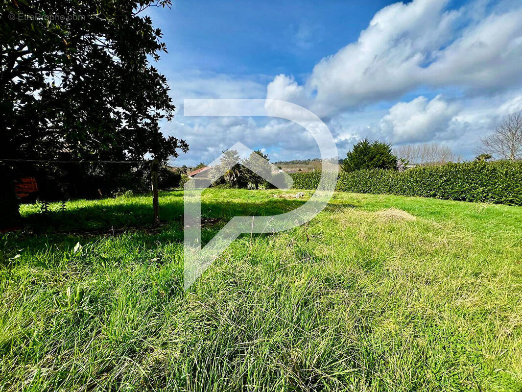 Terrain à PEYREHORADE