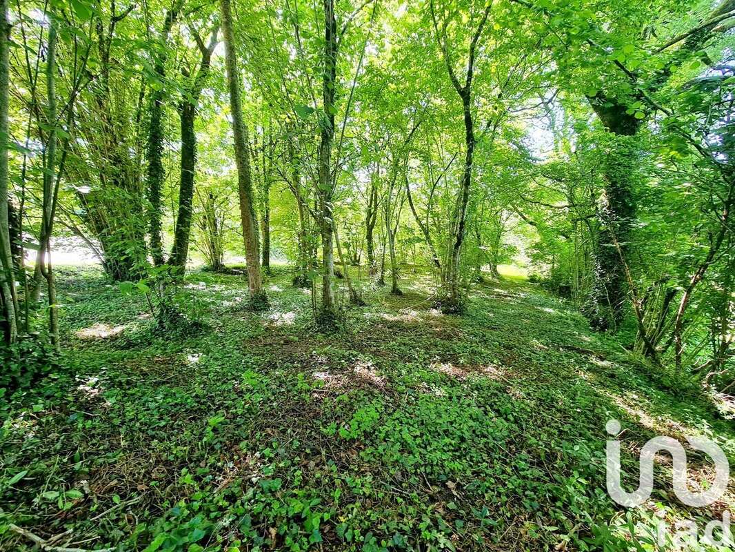 Photo 3 - Maison à ANGLES