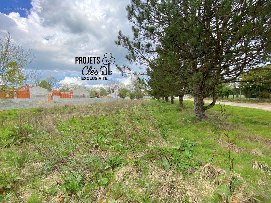 Terrain constructible de 650m2 centre-ville - photo 4
