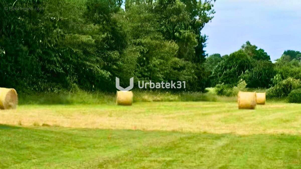 Terrain - 8 667 m² - photo 2