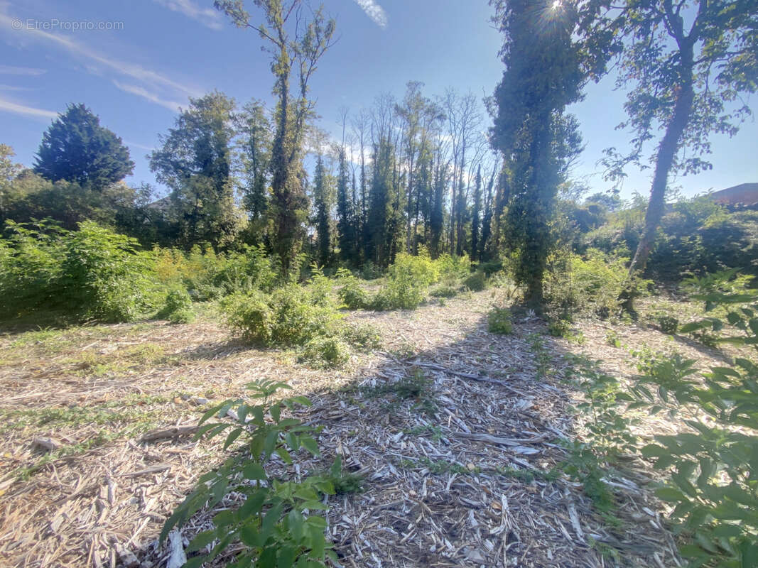 Terrain à BEAUGENCY
