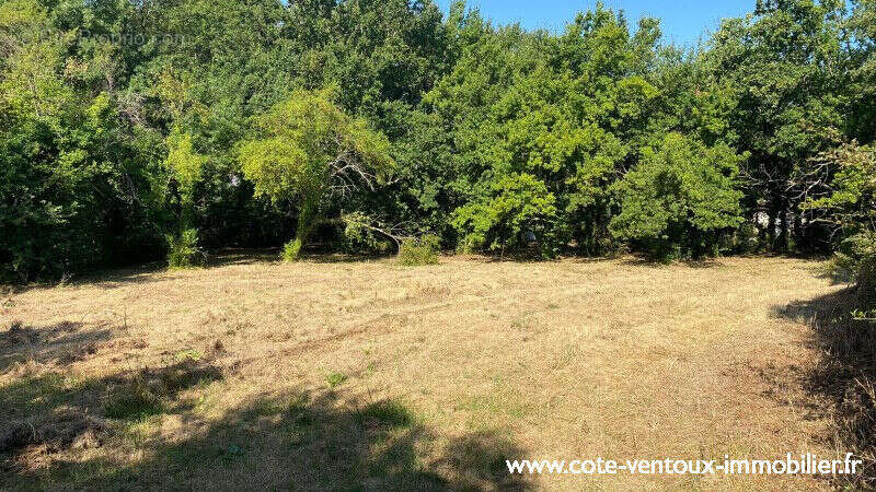 Terrain constructible viabilisé - 800 m² - photo 3