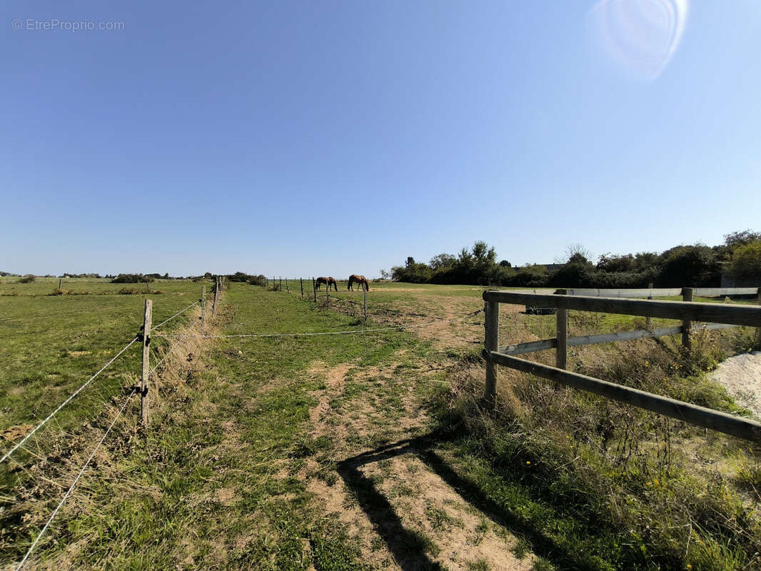 Maison à ARTANNES-SUR-INDRE