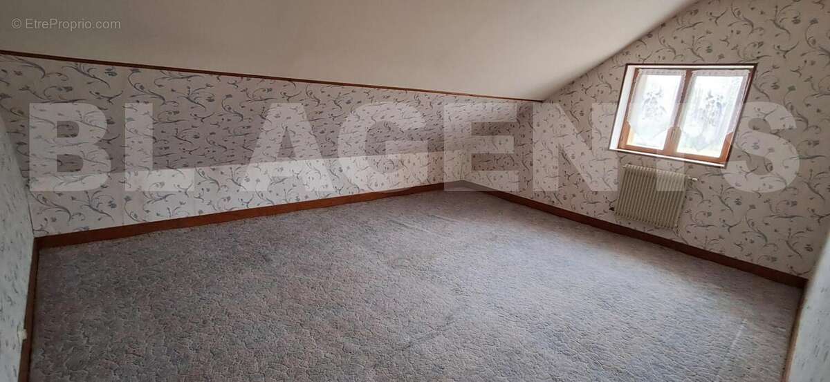 20250214_143202 - Maison à VIVIER-AU-COURT