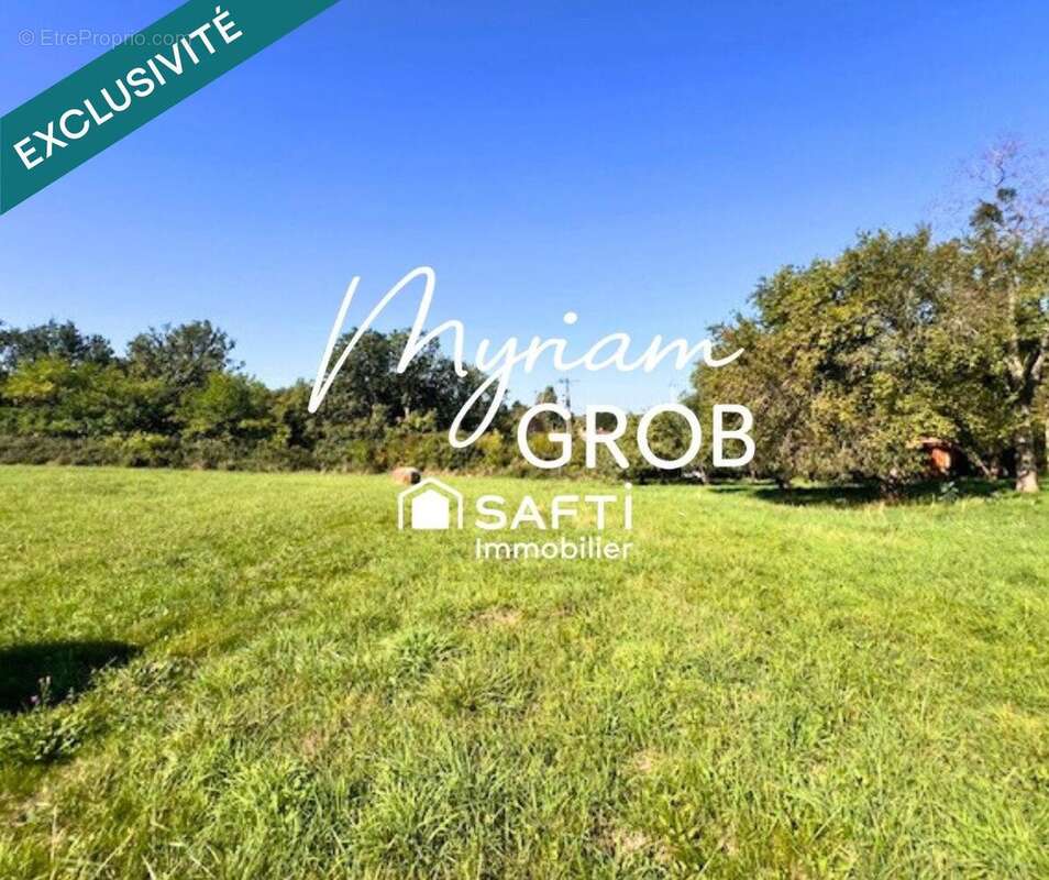 Photo 4 - Terrain à MONTAUBAN