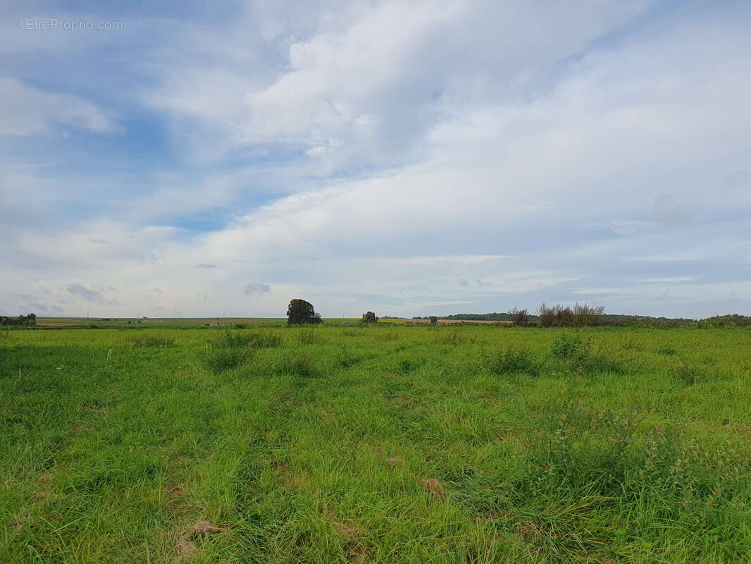 Terrain à PICQUIGNY