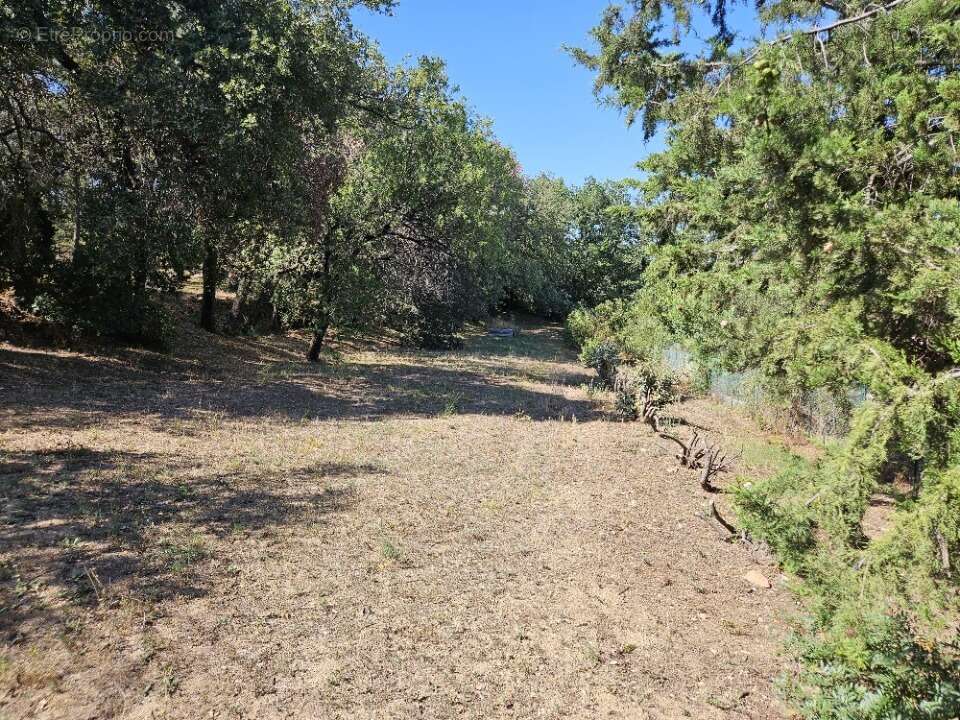 Terrain à ROQUEBRUNE-SUR-ARGENS