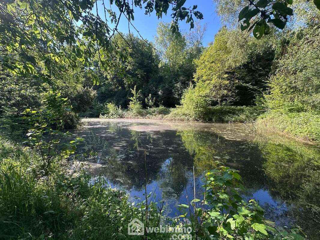 Erigé sur une parcelle de 3020 m² - Terrain à PARFONDRU