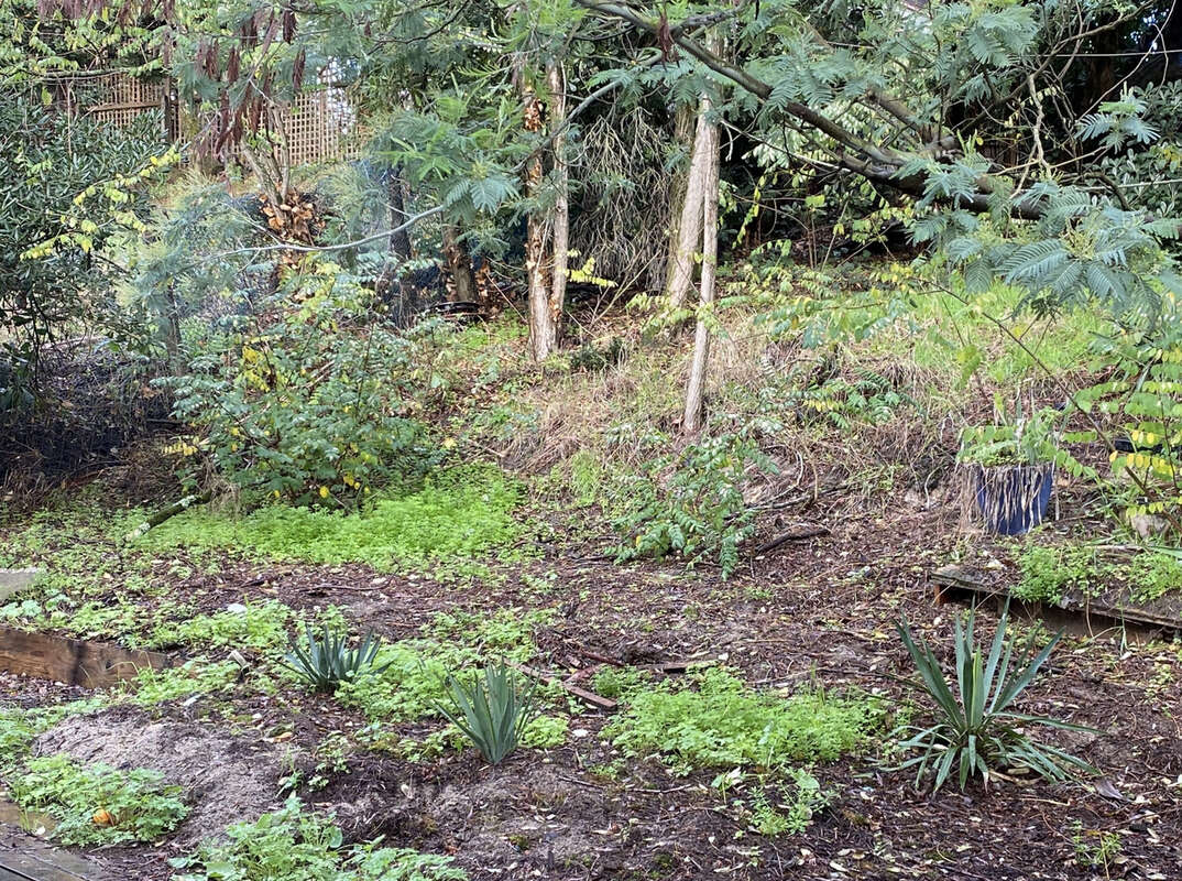 Maison à LEGE-CAP-FERRET