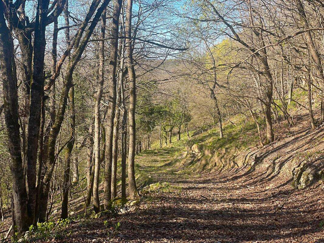 Domaine de caractère avec installations équestres exceptionnelles sur 40 hectares - photo 18