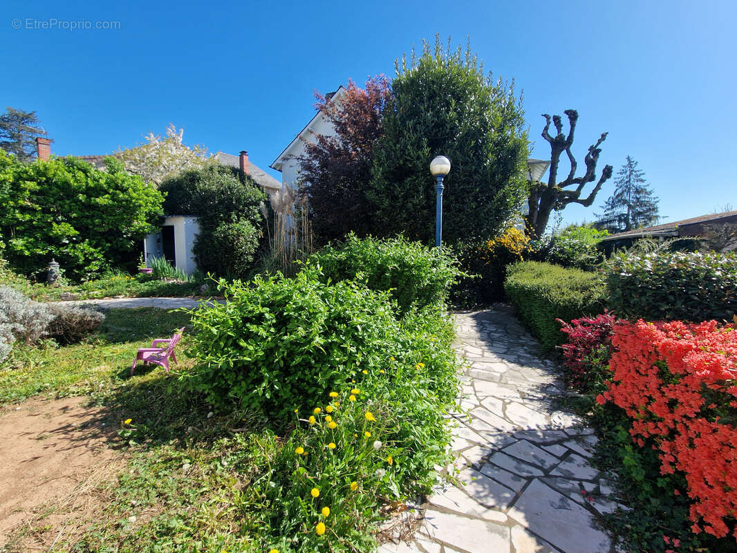 Maison à BRIVE-LA-GAILLARDE