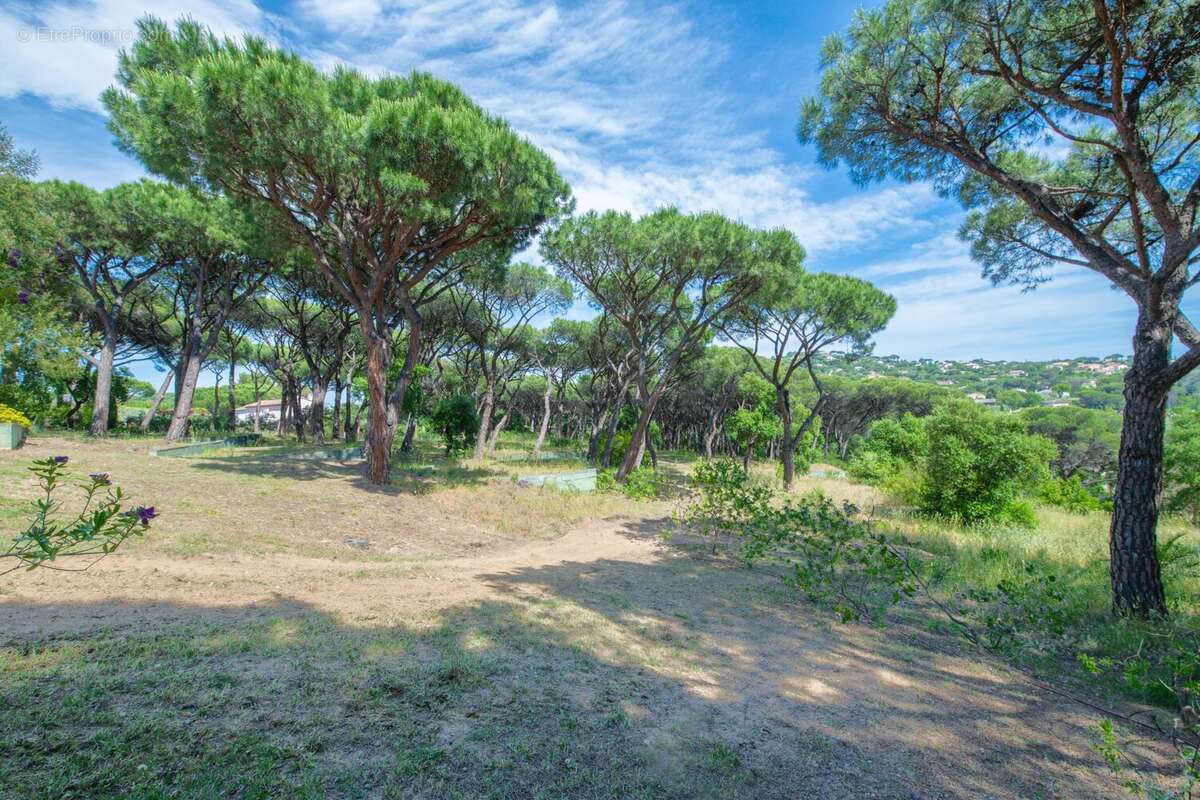 Appartement à SAINTE-MAXIME