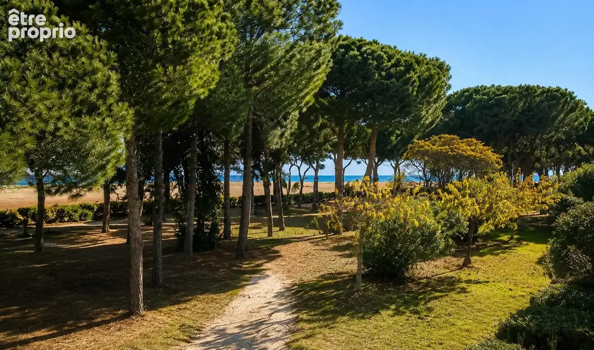 Pinède Argeles sur Mer