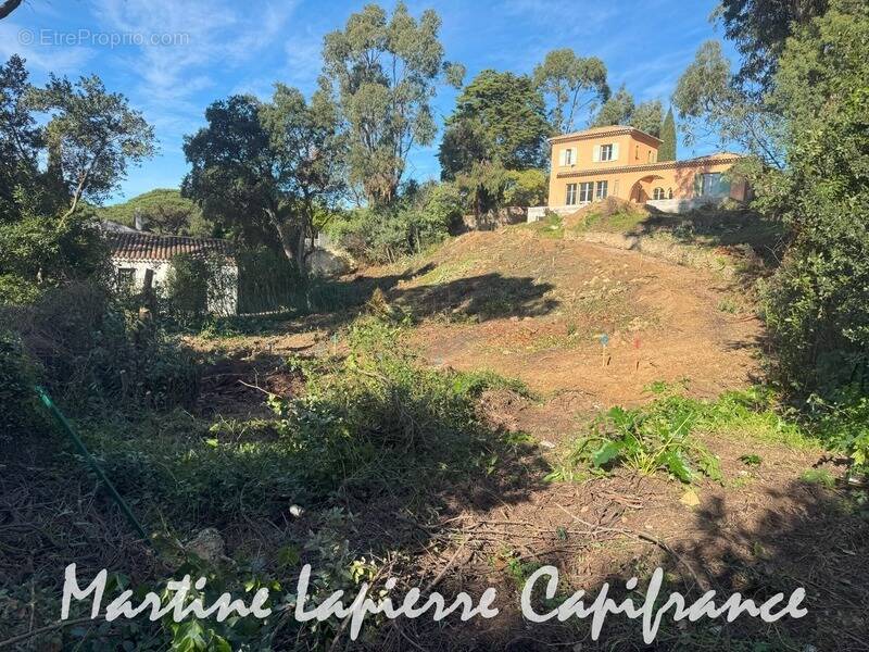 Terrain à LES ISSAMBRES