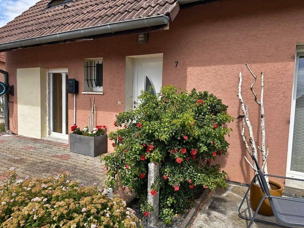 Maison à ENSISHEIM