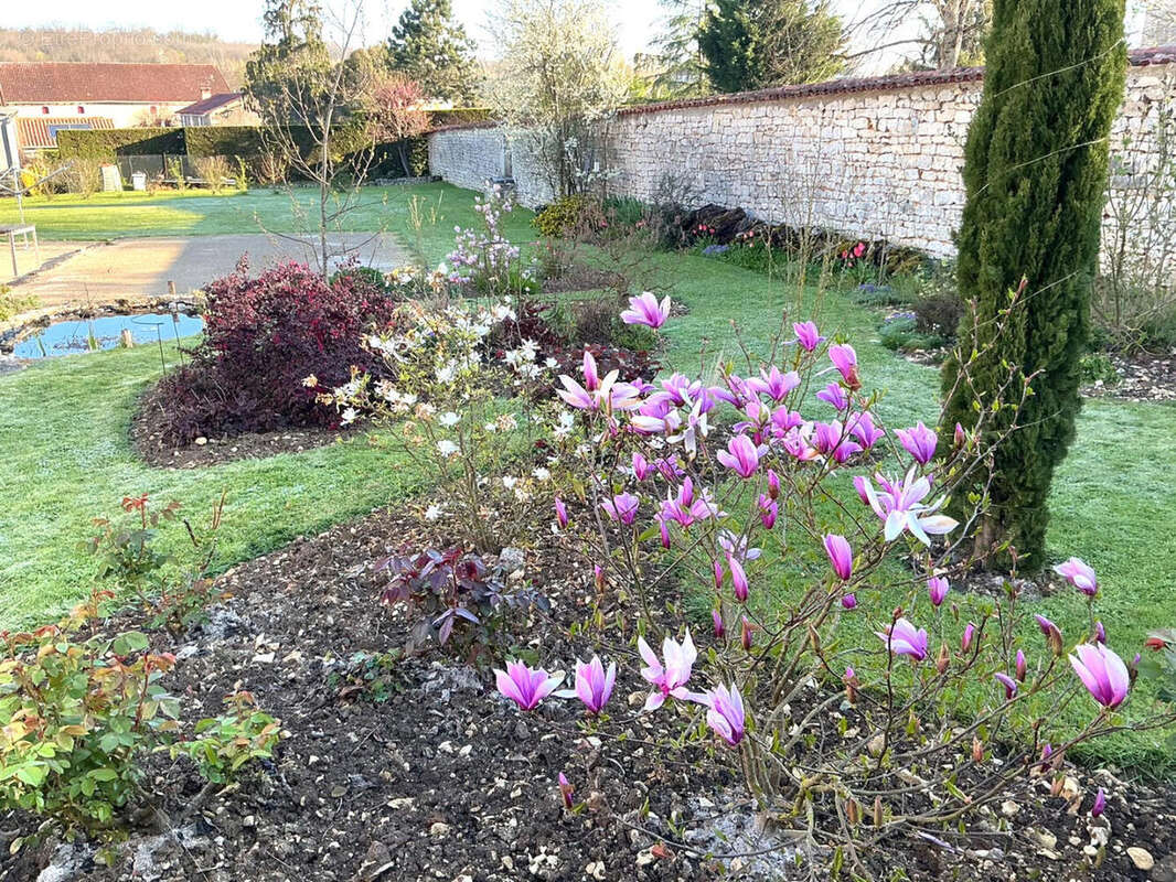 Près de Verteuil-sur Charente, Charmante Maison de Village Indépendante en Pierre, Vue, Superbes Jardins Champêtres - photo 3