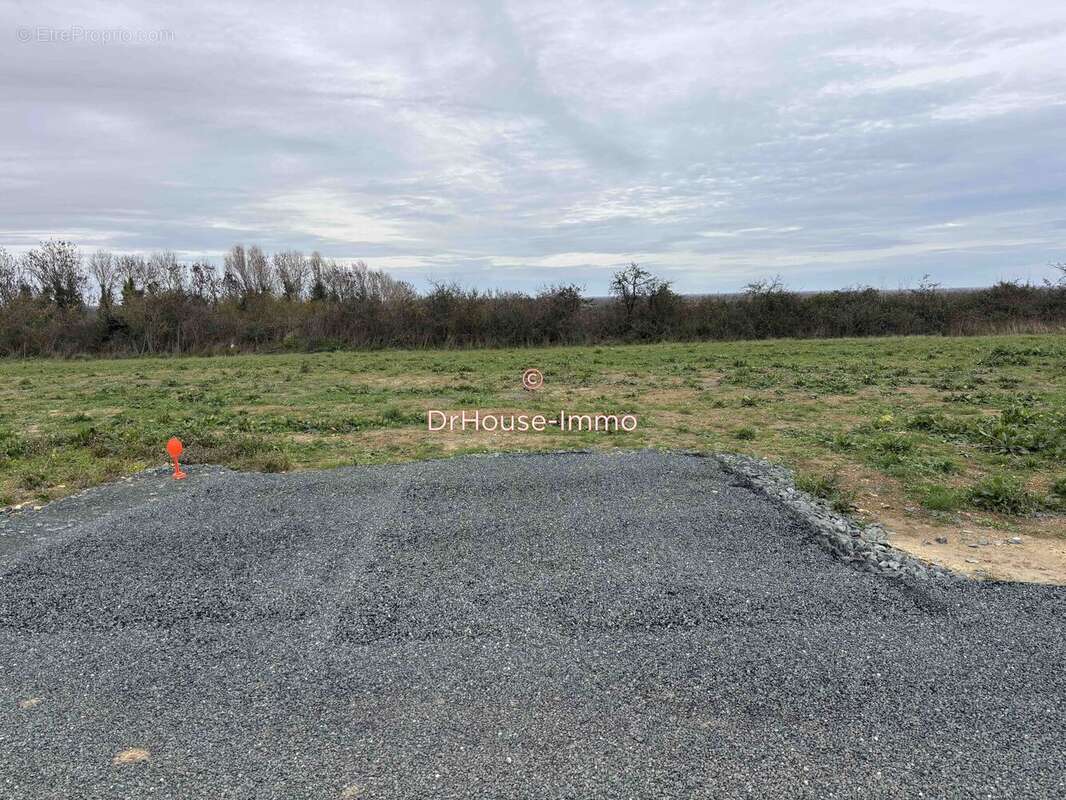 Terrain à CHAILLE-LES-MARAIS