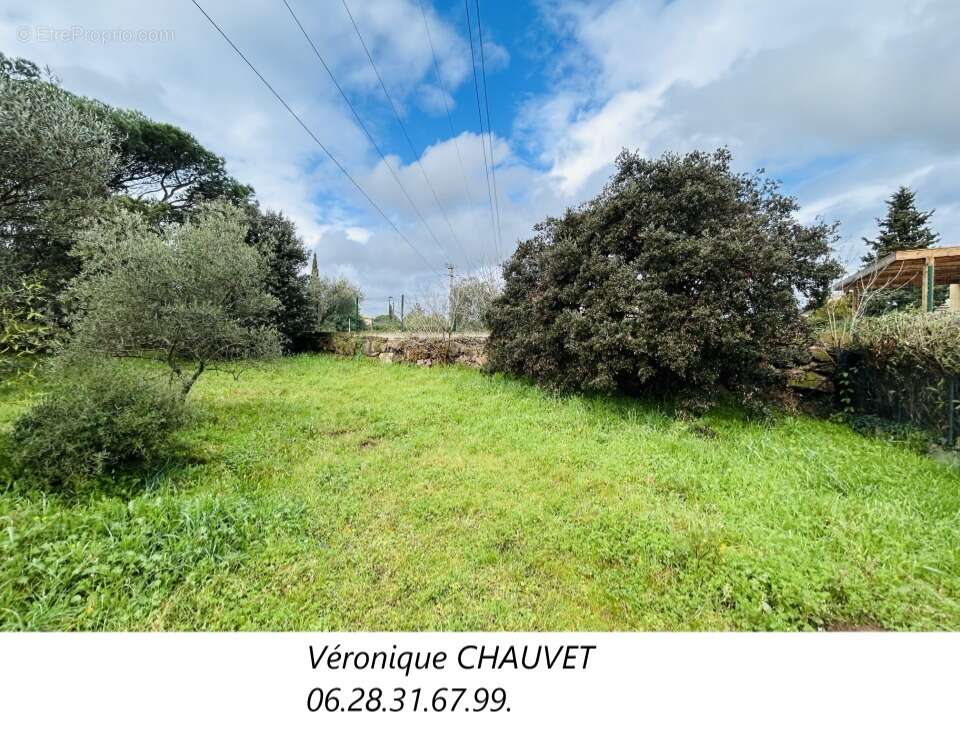 Terrain à PUGET-SUR-ARGENS