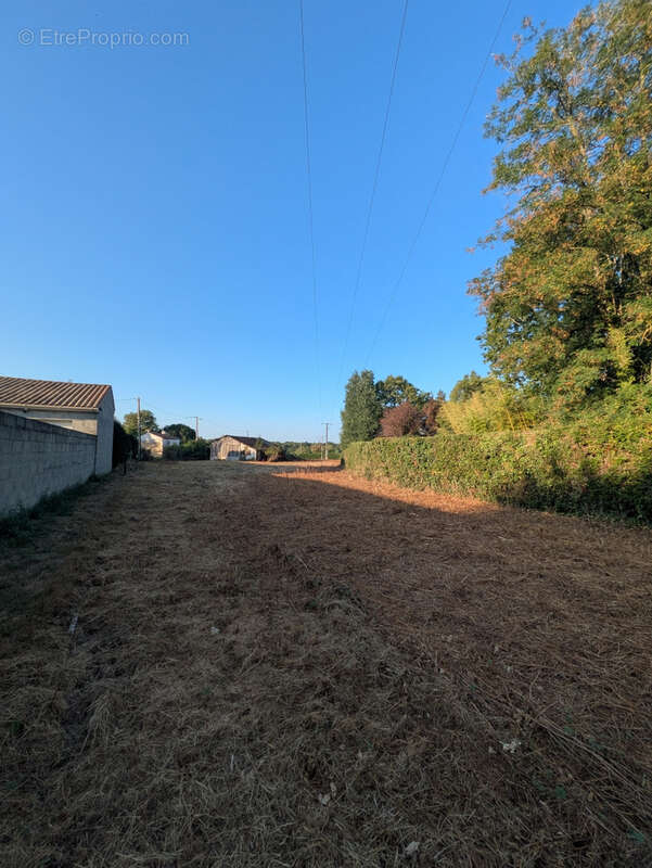 Terrain constructible de 1 793 m2   plat, non viabilisé - photo 11