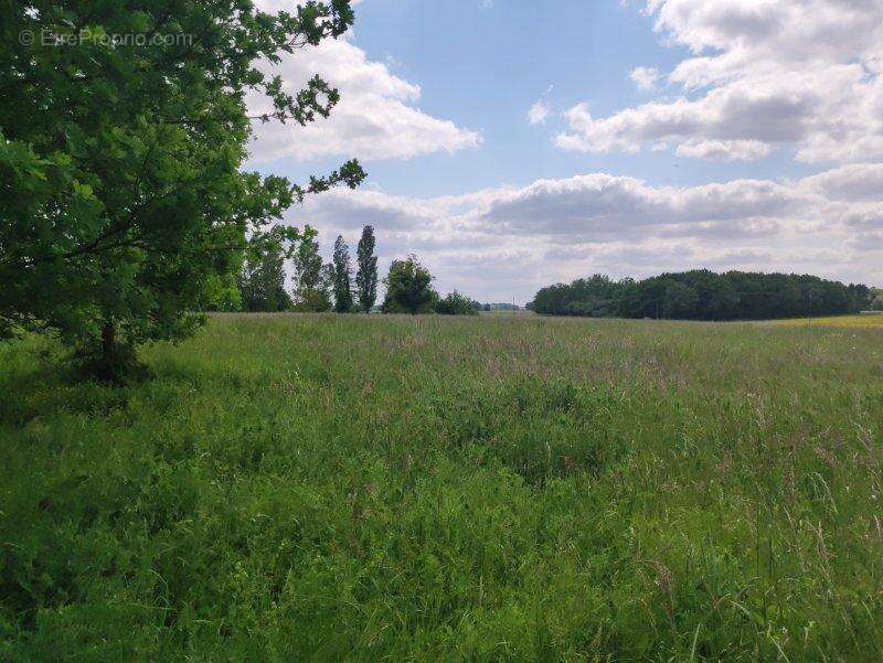 Photo 3 - Maison à CONSAC