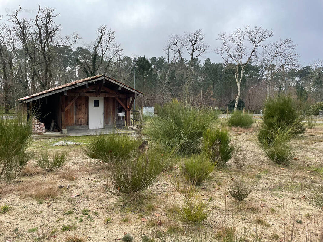 Terrain à TRENSACQ