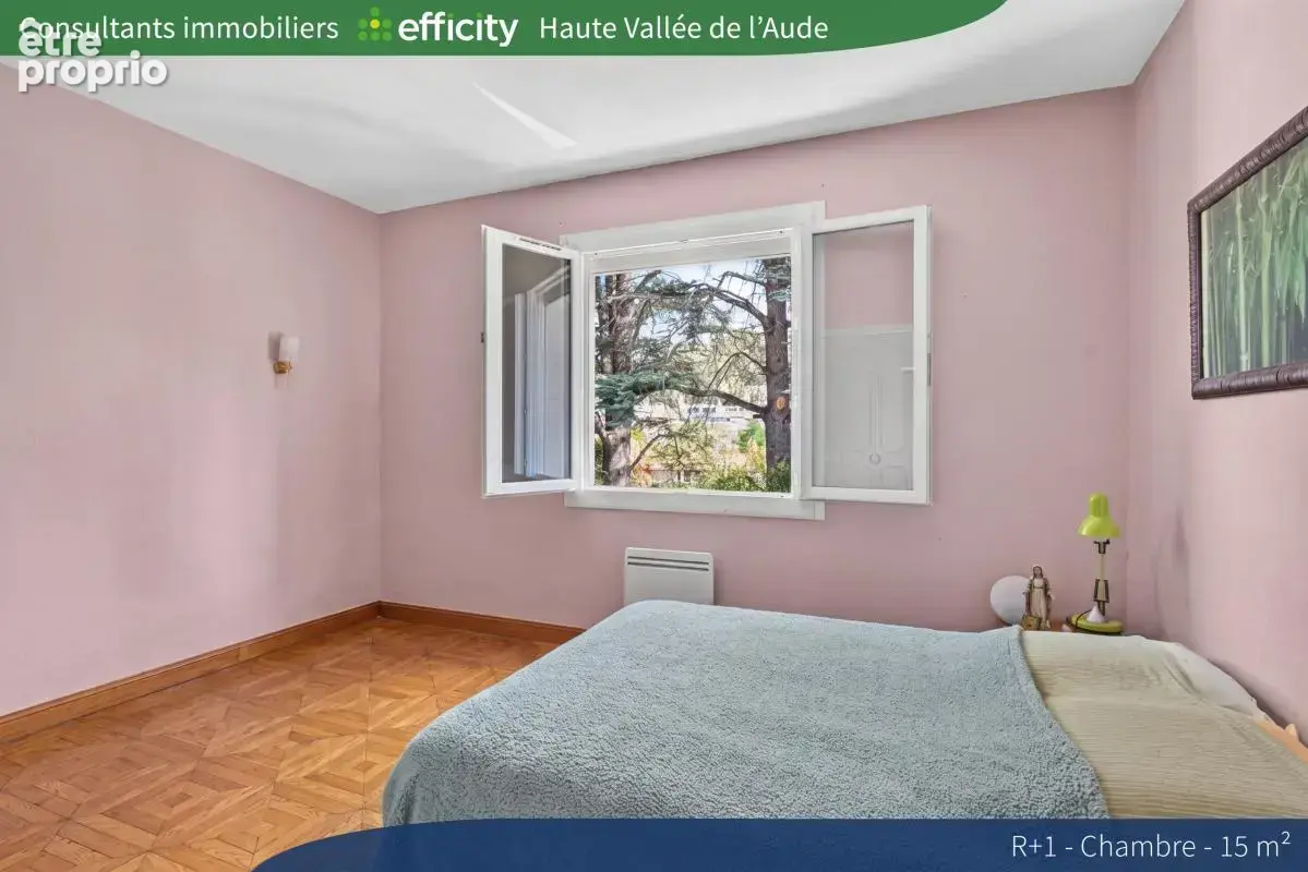 Maison 7 pièces 207 m² à vendre à Esperaza (11260) - photo 12