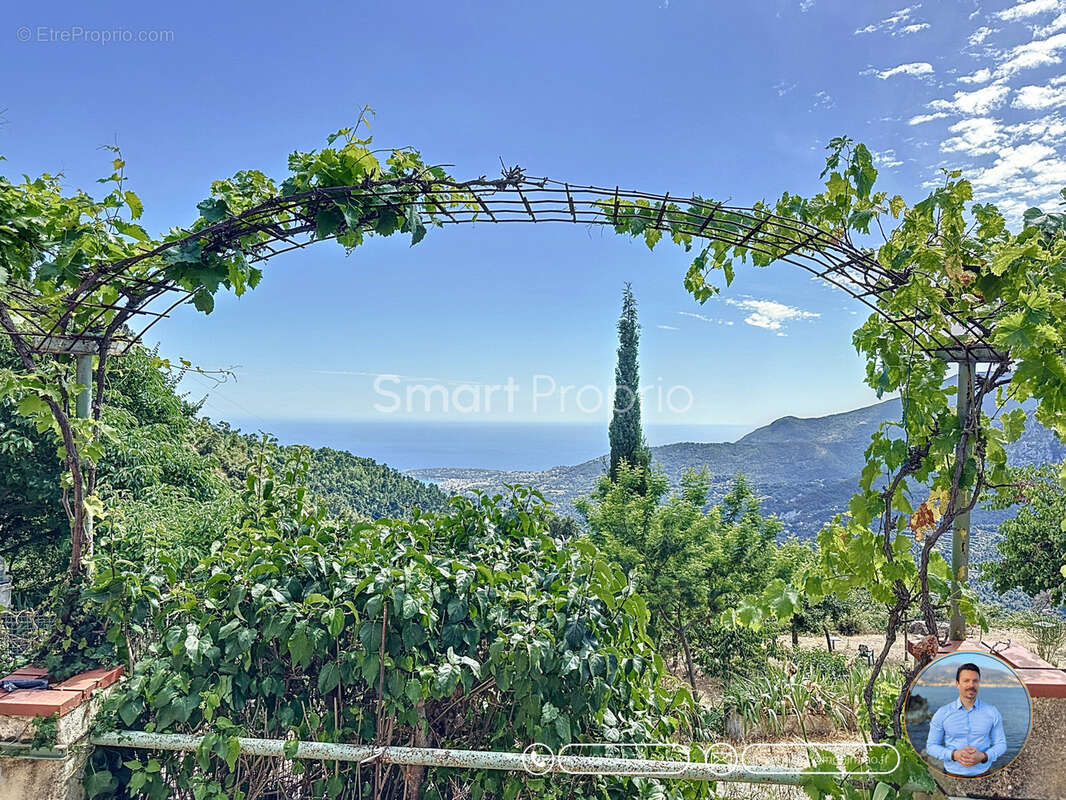 Domaine paradisiaque unique 5 hectars  au calme exceptionnel  - maison autonome 4p - vue dégagée mer - photo 18