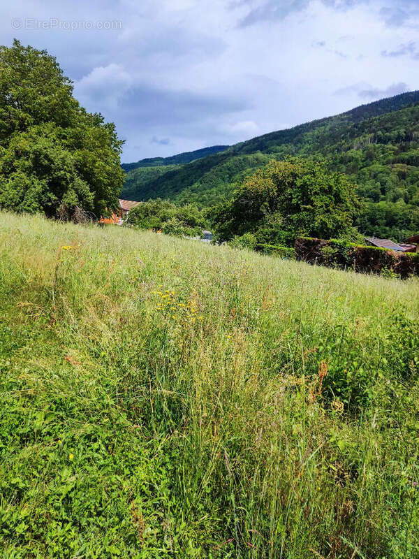 Terrain à ALLEVARD