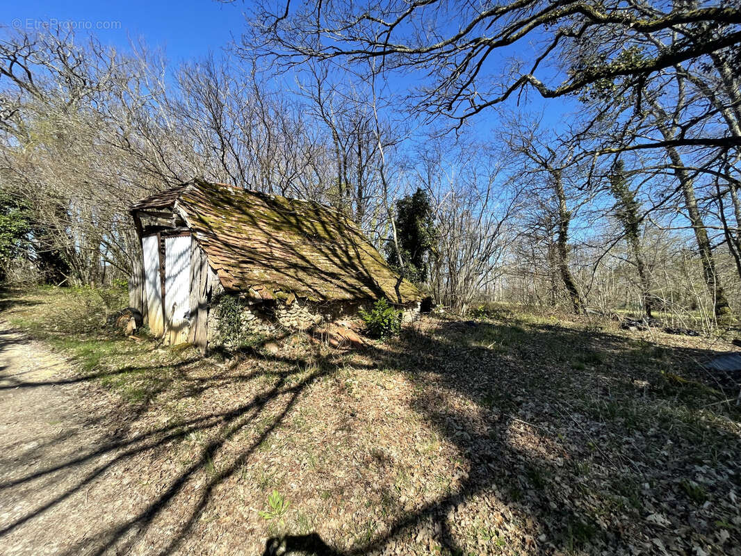 Terrain à SAINTE-MARIE-DE-CHIGNAC