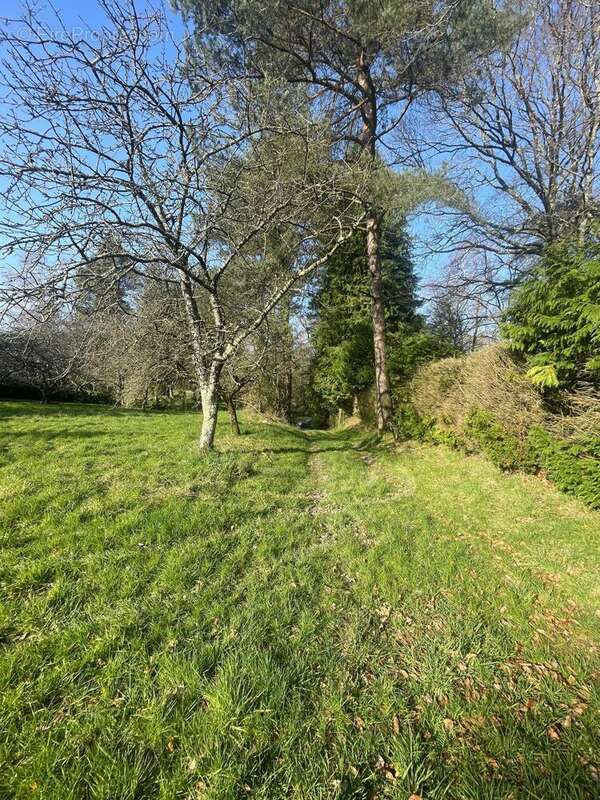 Photo 4 - Terrain à MOLAC