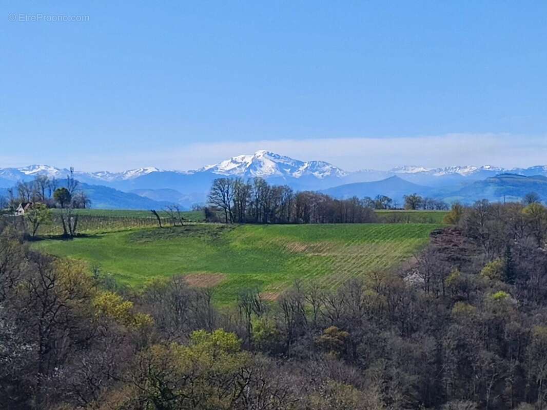 Maison à LUCQ-DE-BEARN