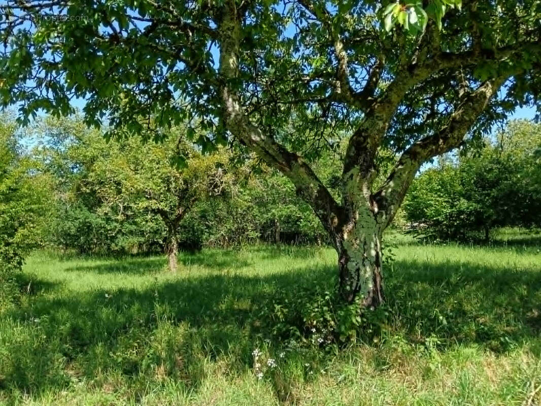 Maison à CEAUX-EN-COUHE