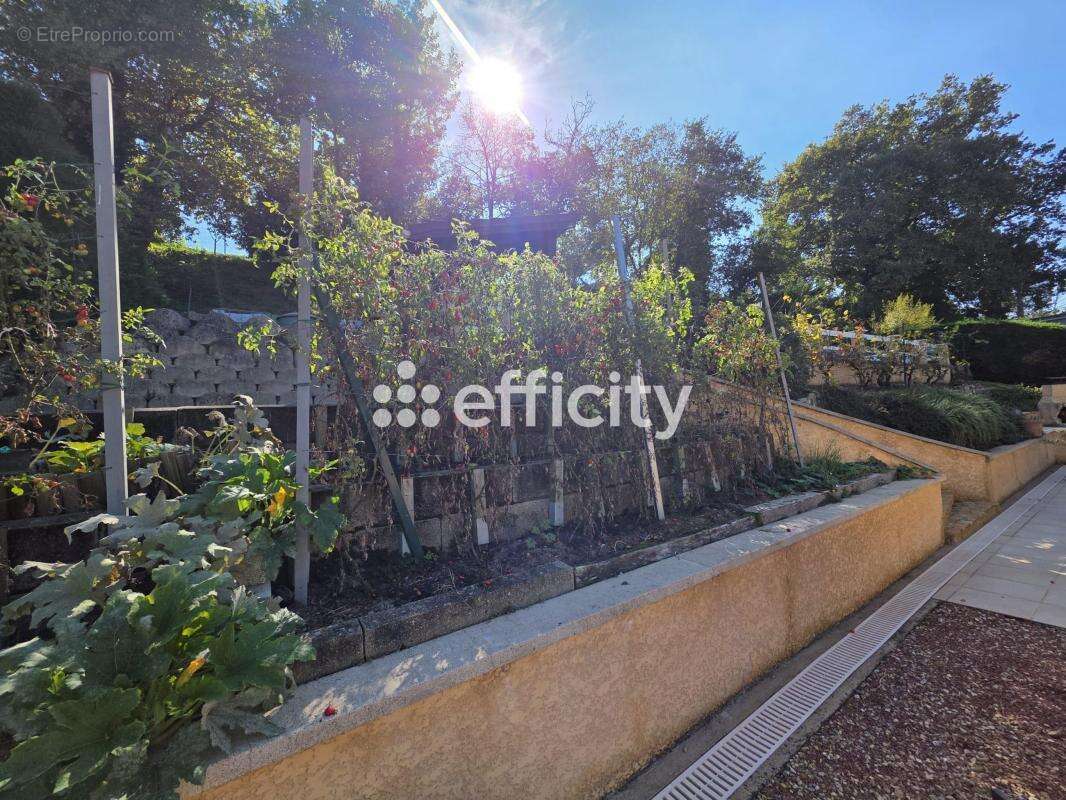 Maison à CIVRIEUX-D'AZERGUES