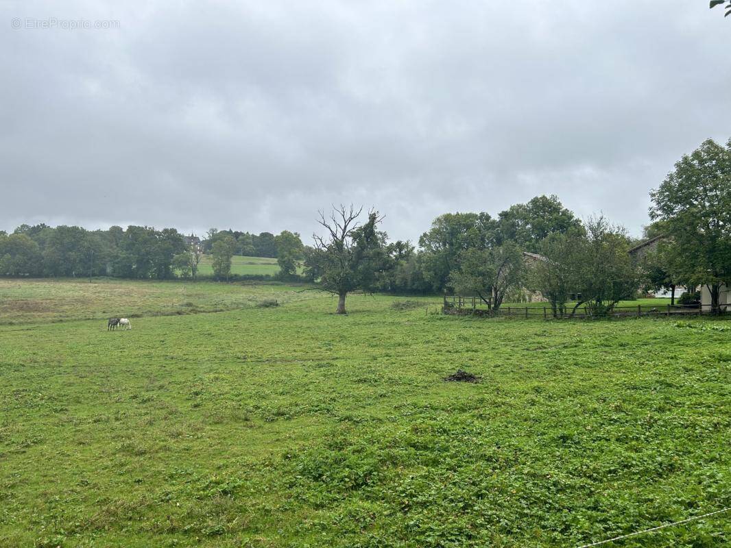 Terrain à BOISSEUIL
