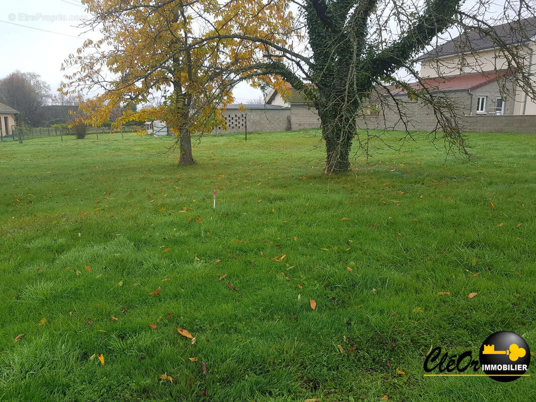 Terrain 1240 m² à Alleriot  - photo 2