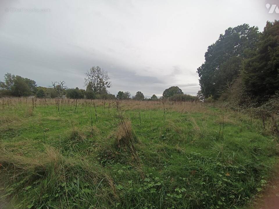 Terrain à FORMENTIN